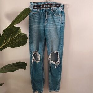 American Eagle Strigid Ripped Mom Jean